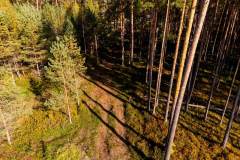 DJI_0954