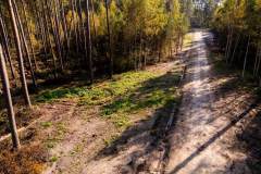 DJI_0956